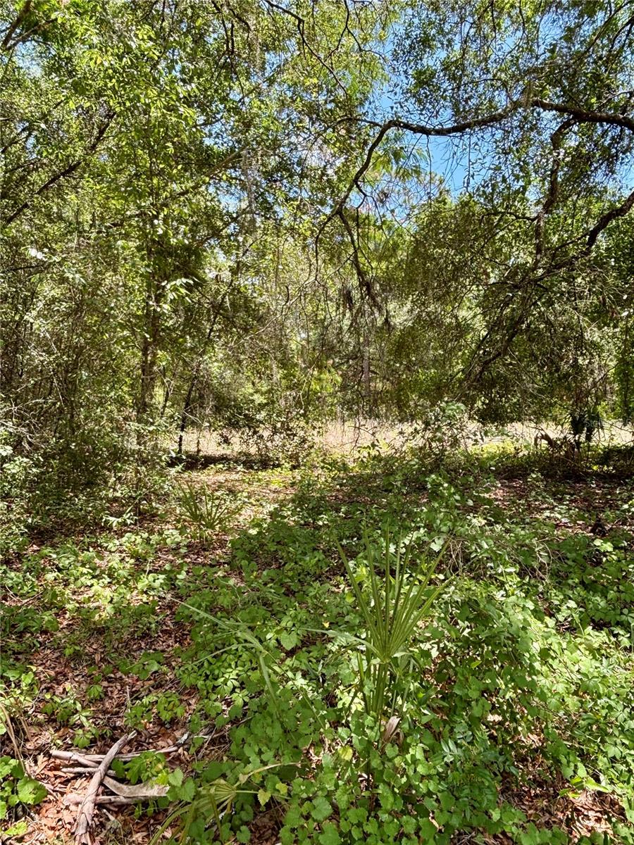 Lot 15 SW SHOREWOOD DRIVE