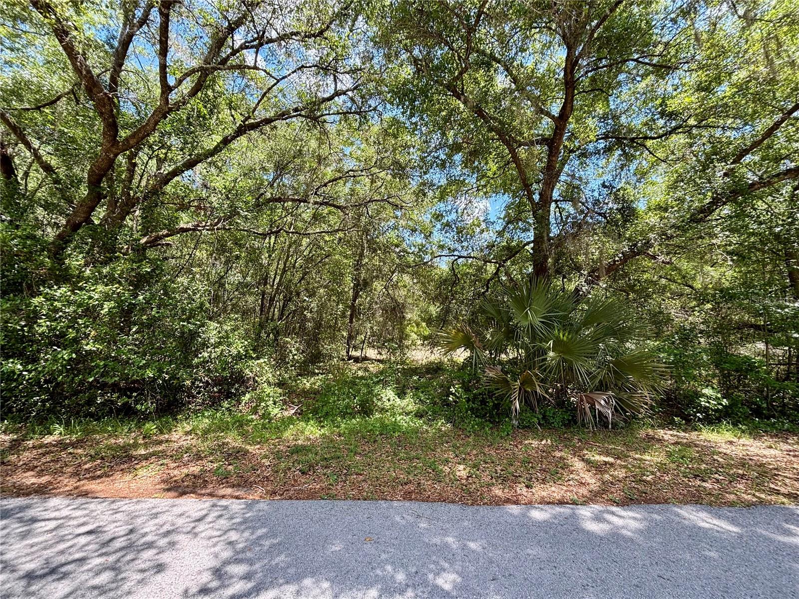 RAINBOW LAKES ESTATE - Land
