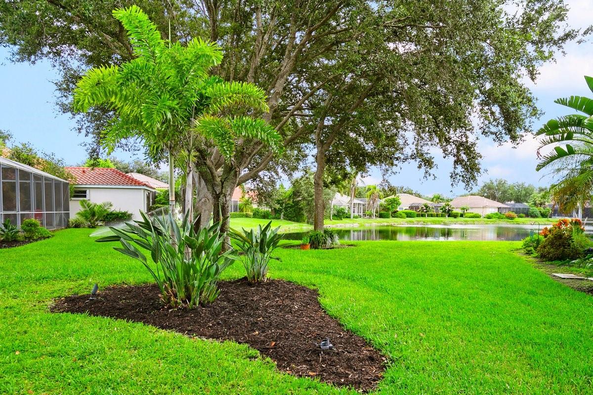 PARK TRACE ESTATES - Residential