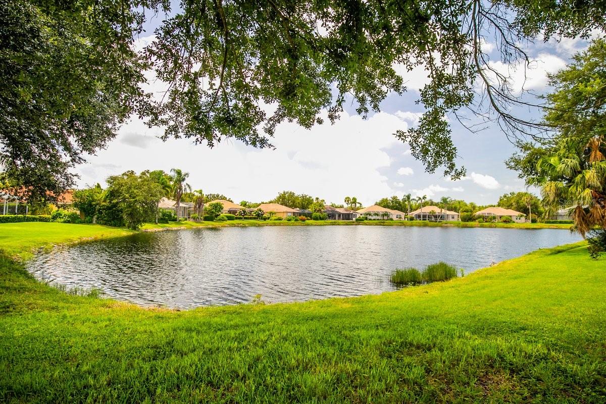 PARK TRACE ESTATES - Residential