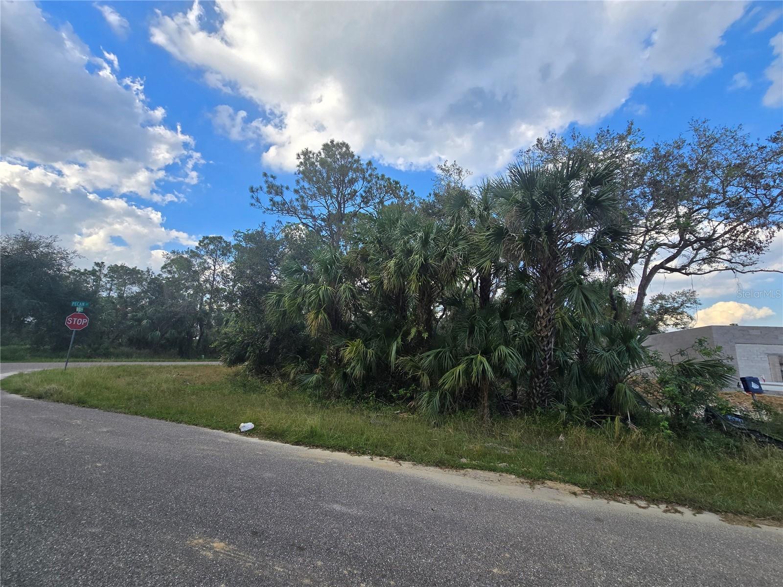 Great corner lot available now, growing area with nice homes under construction now. This area will fill up fast. Go by and take a look. This is a beautiful property priced to sell quickly. Please call any agent for details.