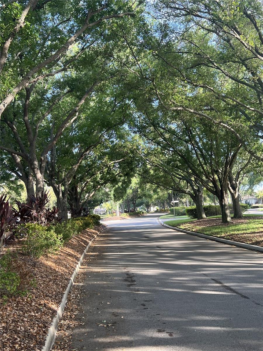 360 CEDARBROOK COURT, VENICE, FL, 34292 3 360 CEDARBROOK COURT