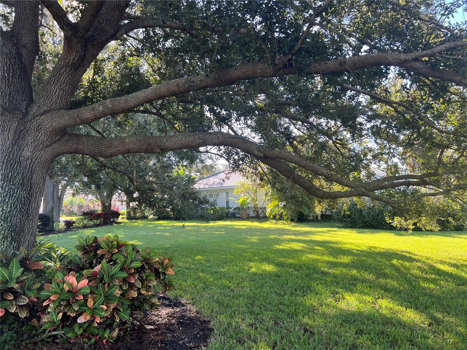 VENICE GOLF & COUNTRY CLUB - Residential