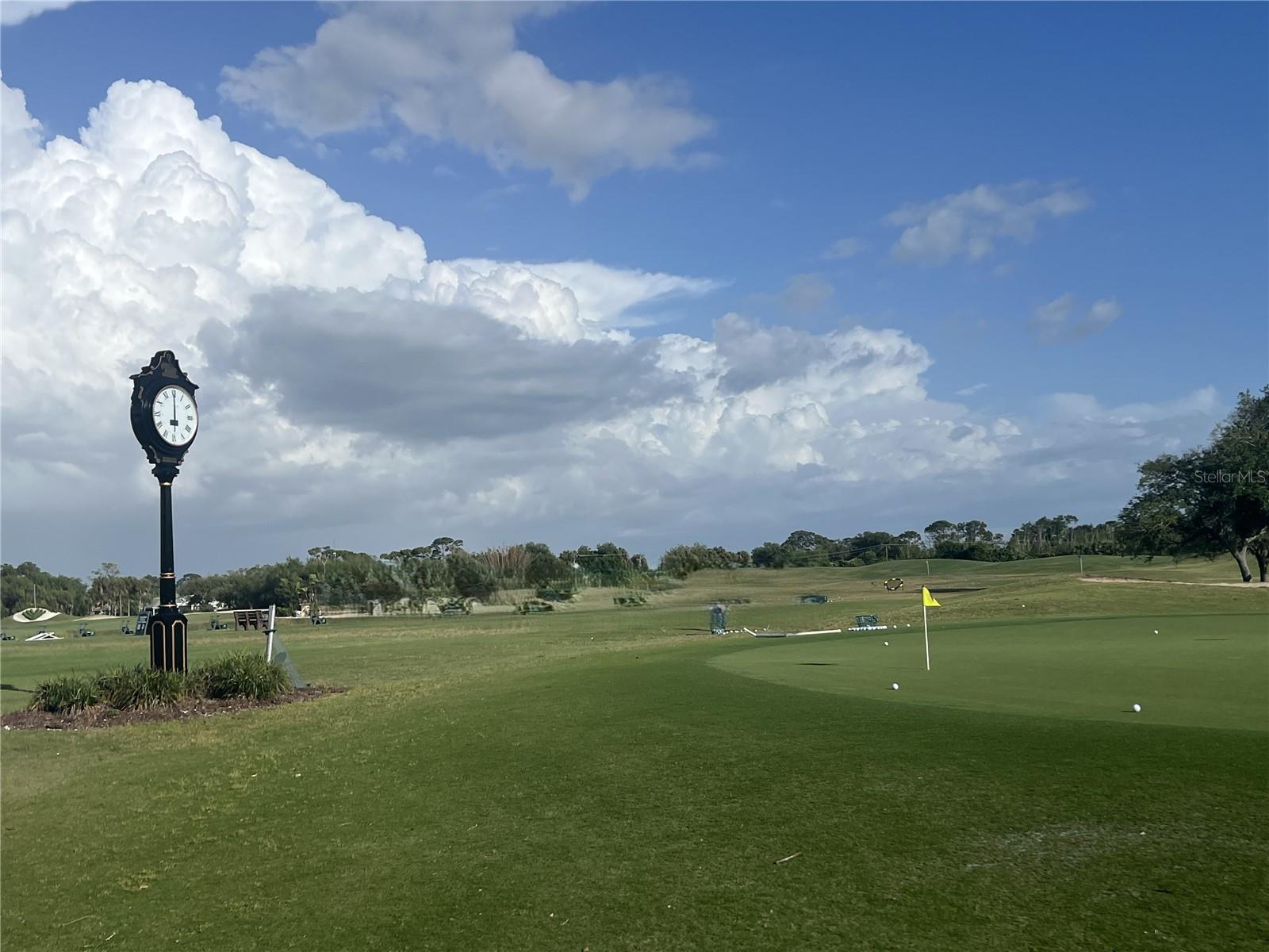 VENICE GOLF & COUNTRY CLUB - Residential