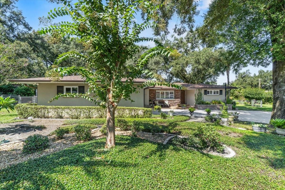 4651 SHERWOOD LANE