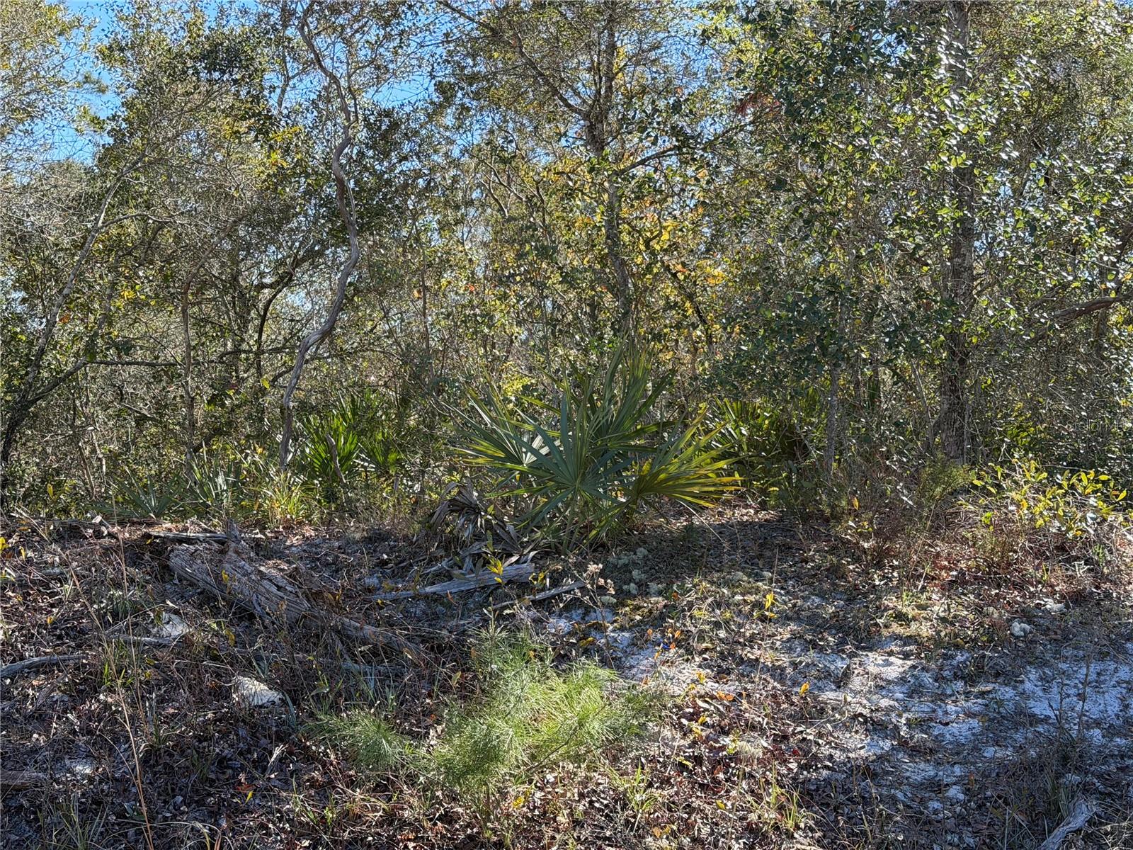 PINE VIEW ESTATES - Land