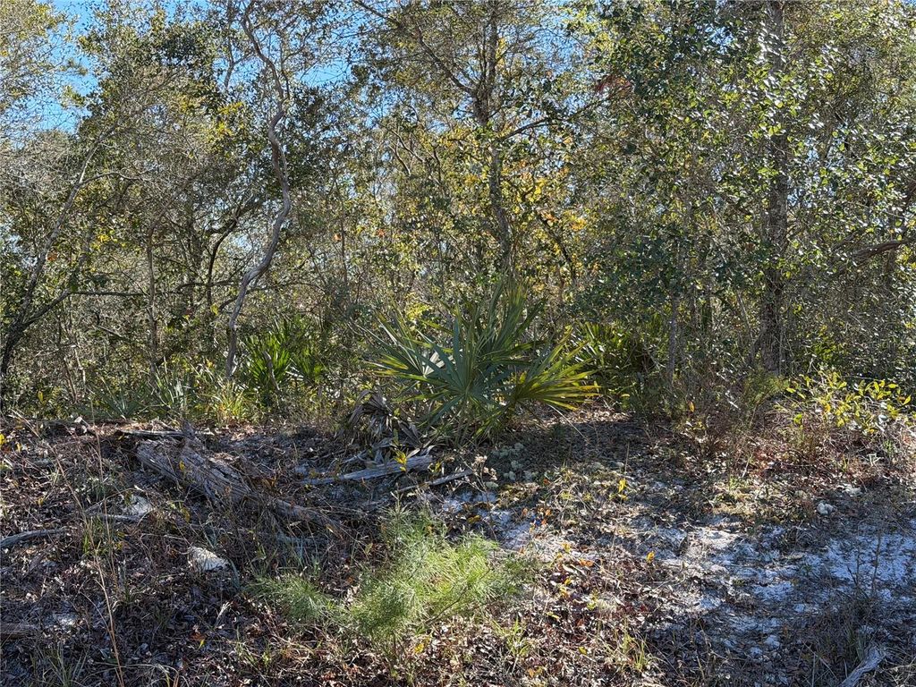 Photo of Mcbride Avenue, Deltona, FL 32725 (MLS # O6382805)