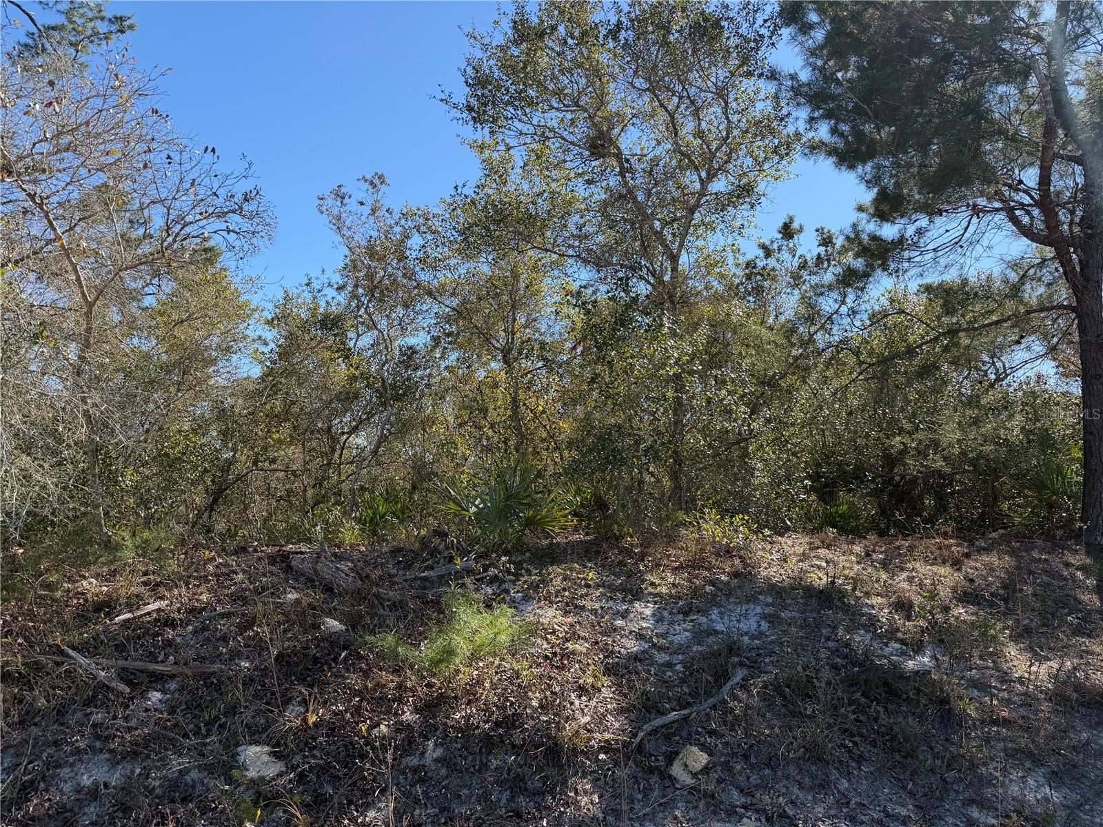 PINE VIEW ESTATES - Land