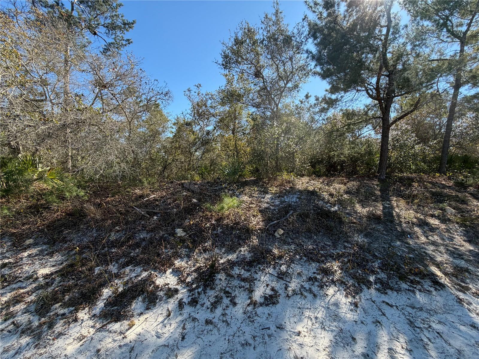 PINE VIEW ESTATES - Land