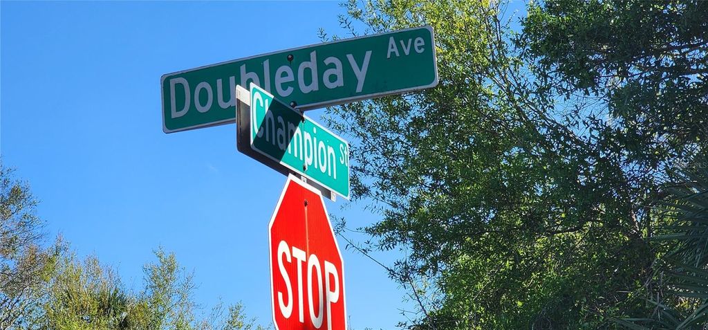 Photo of 13333 Doubleday Avenue, Port Charlotte, FL 33953 (MLS # D6140715)