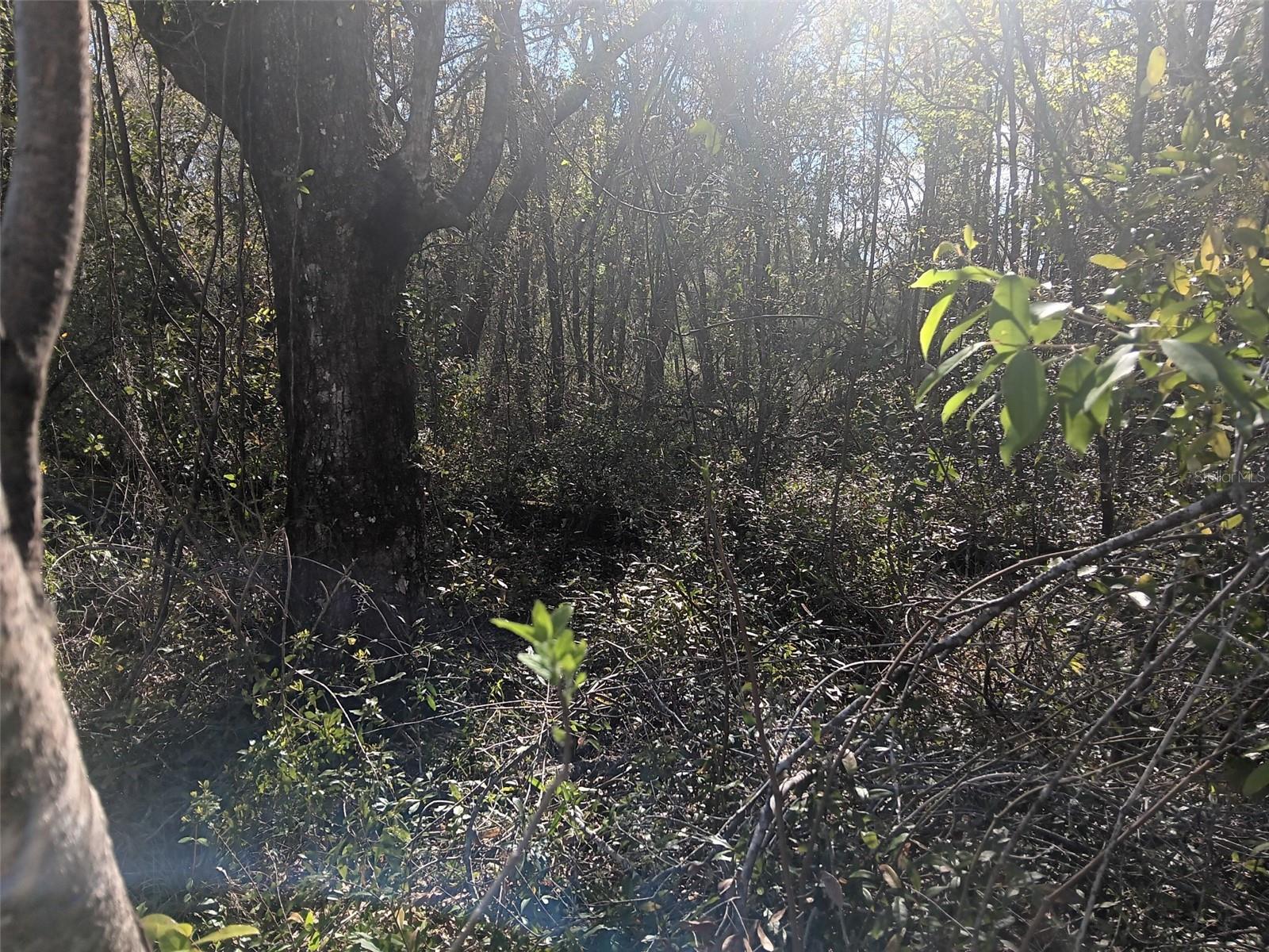 OAK FOREST ESTATES - Land