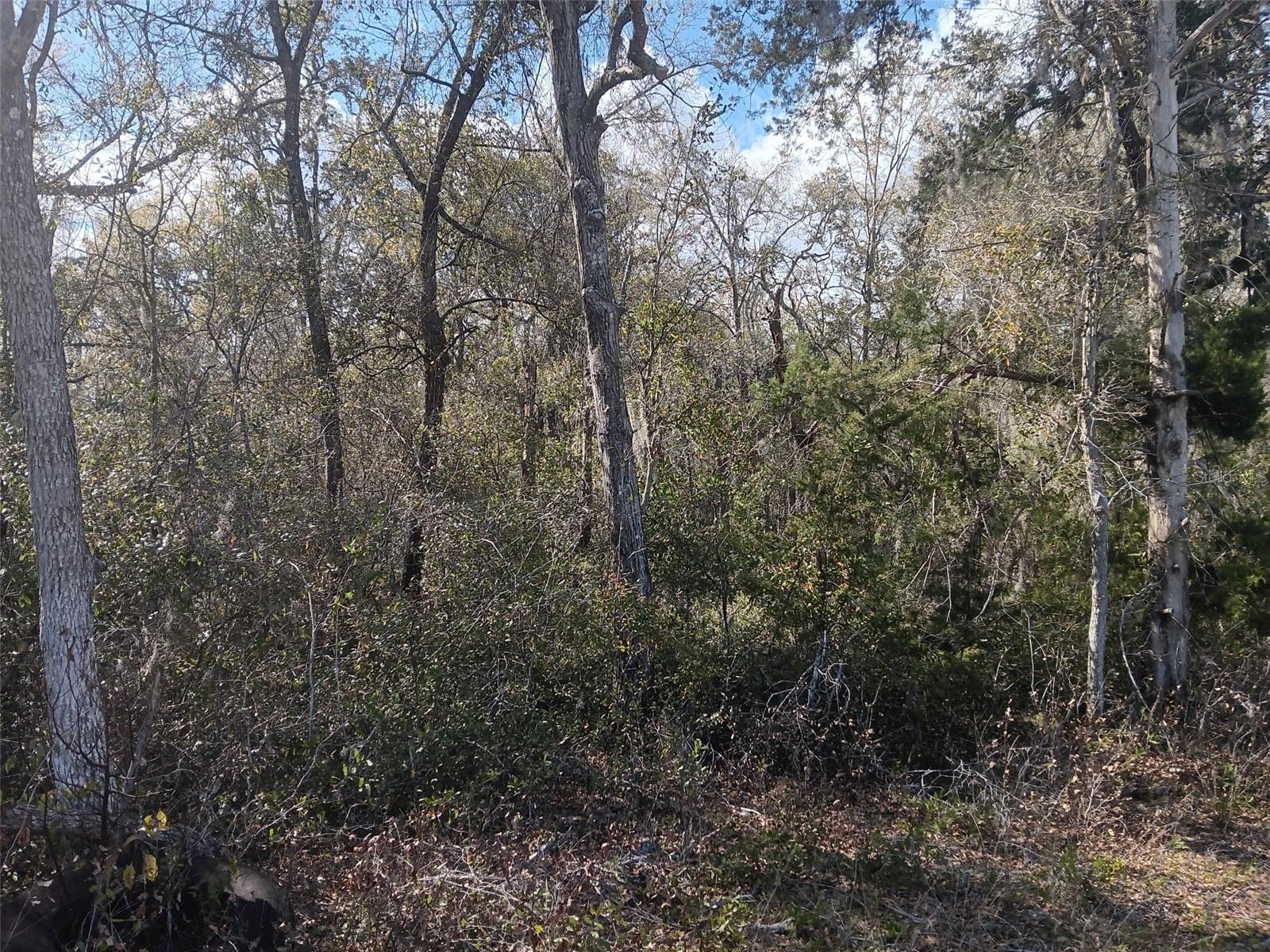 OAK FOREST ESTATES - Land