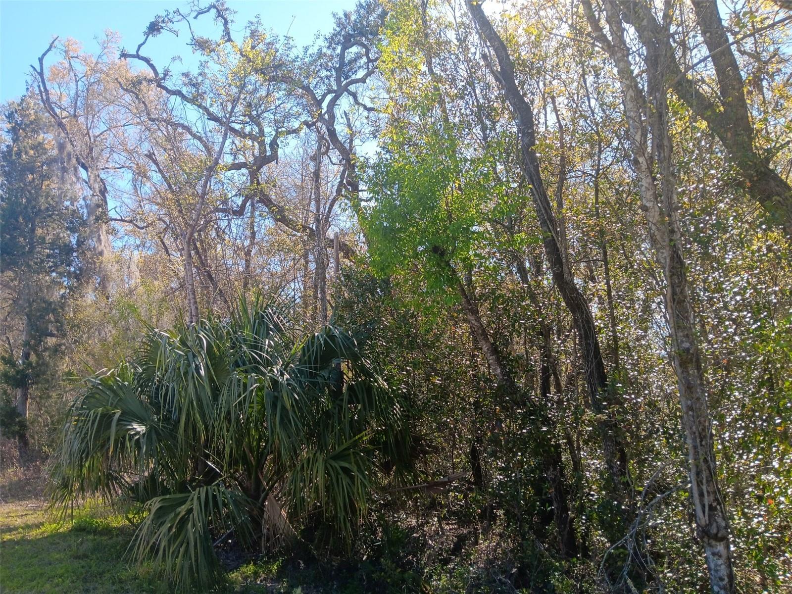 OAK FOREST ESTATES - Land