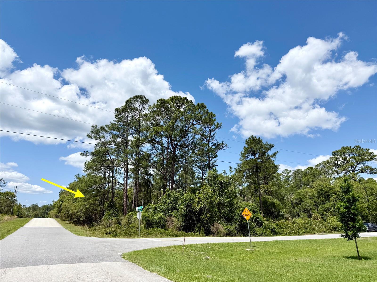 Corner parcel 200 X 253 located in Equestrian Royal Trails Subdivision. No time limit to build, bring your own builder or one can be recommended. Once you build, you may park your RV and Boat. You may build your home facing Alder Avenue or Persimmon Street. Deeded Access to Lake Norris, community park and playground with many activities throughout the year. Come drive by, evaluate, and make it your next Florida building site. The minimum square footage is 1,200 under air, the HOA is $92.00 a YEAR. Survey is recommended for accurate dimensions. A Deed restrictive community, no modular, mobile or manufacture homes allowed. The zoning allows two horses an acre.