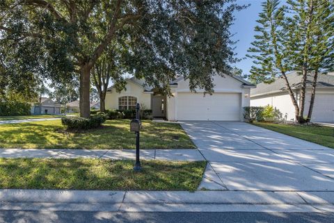 Photo of 23836 Hastings Way, Land O Lakes, FL 34639 (MLS # W7879987)