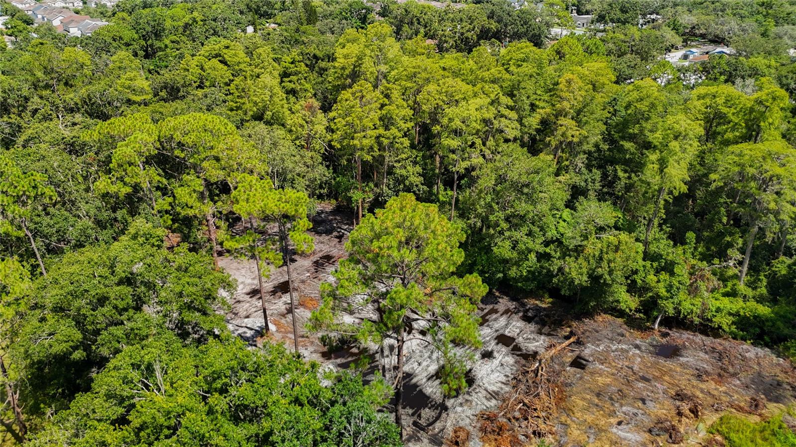 TOWN OF CITRUS PARK - Land
