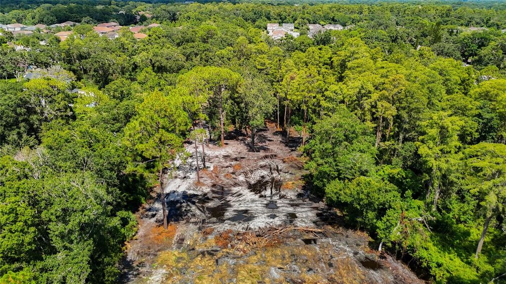 Photo of Anno Street, Tampa, FL 33625 (MLS # TB8417684)