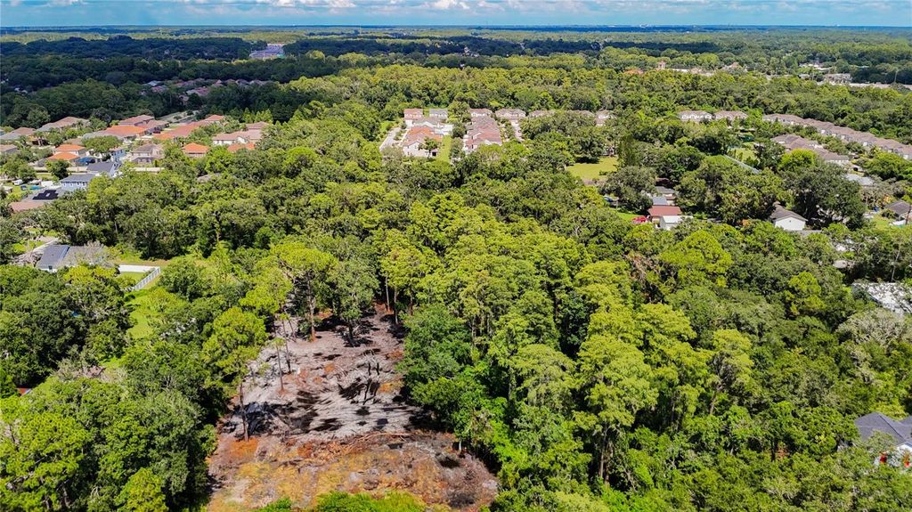 Photo of Anno Street, Tampa, FL 33625 (MLS # TB8417684)