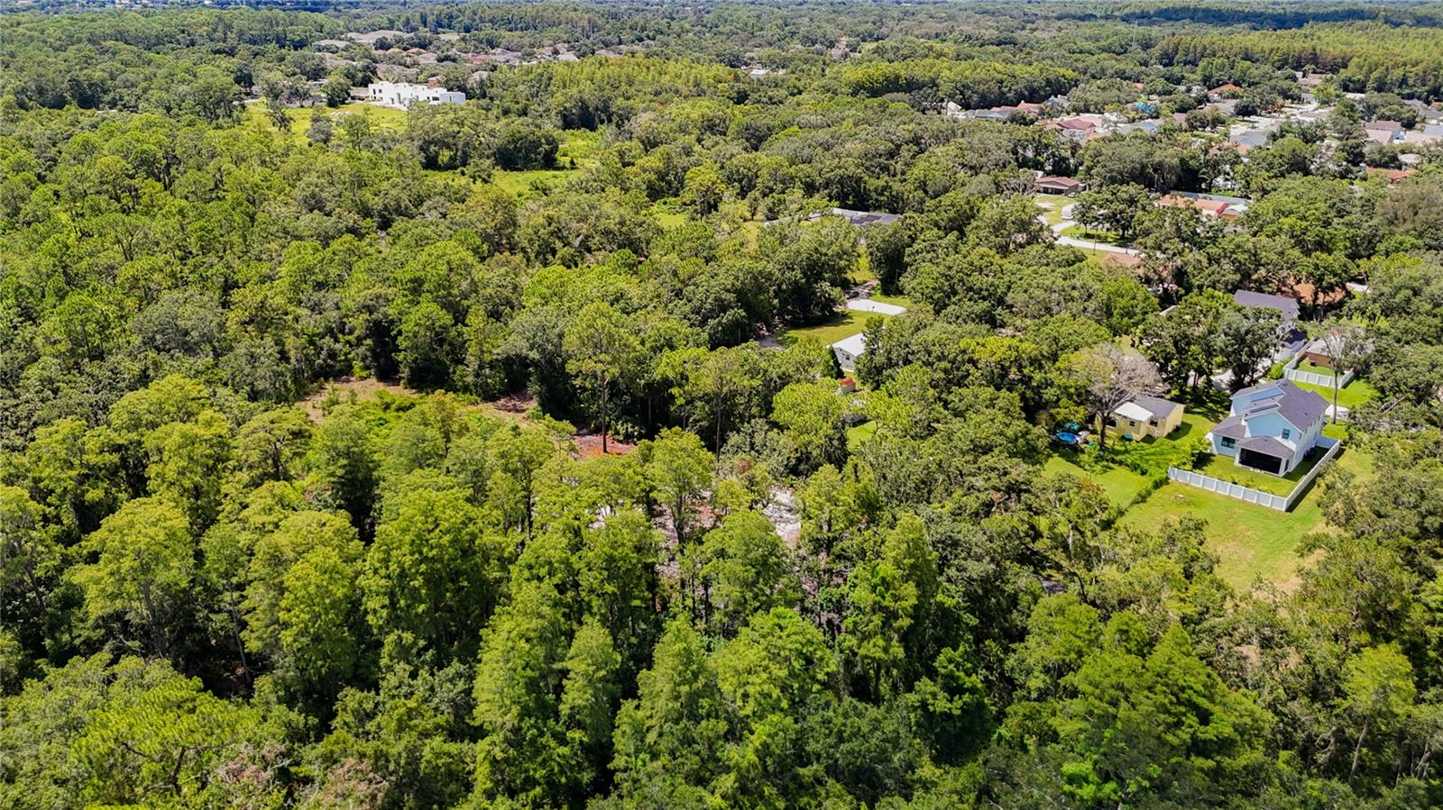 TOWN OF CITRUS PARK - Land