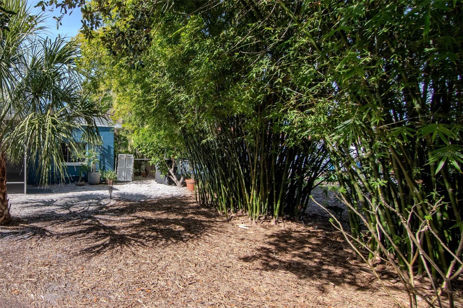 BAYHILL ESTATES - Residential