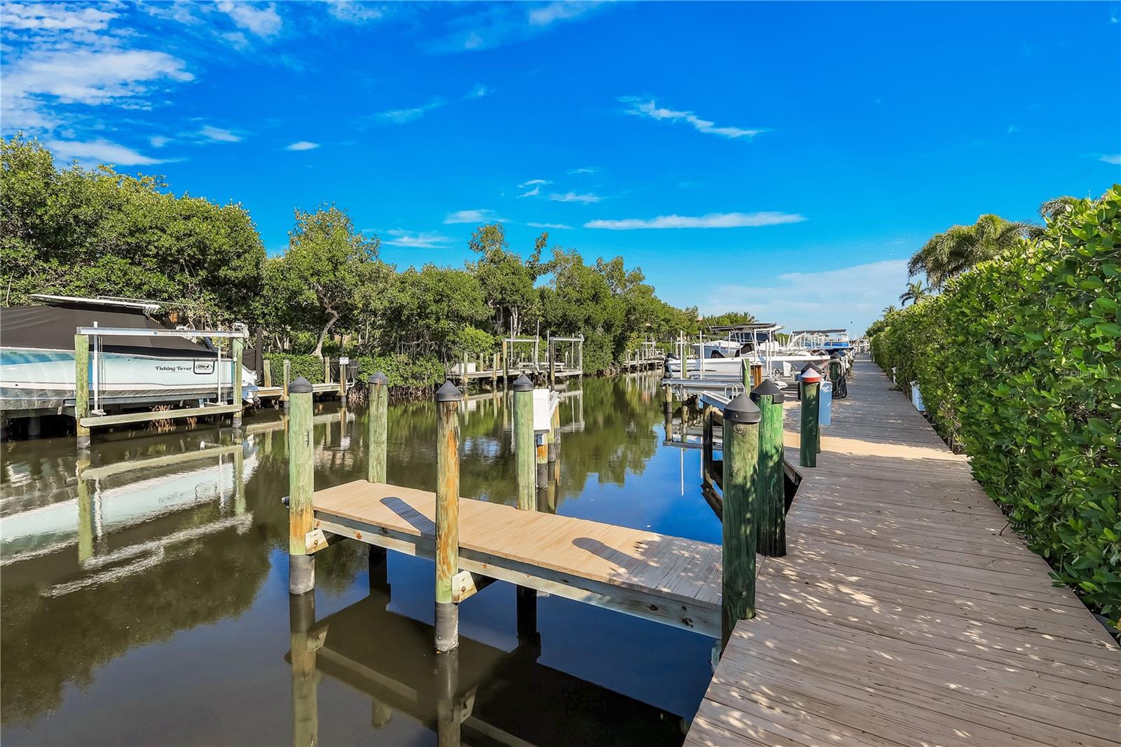 CATALPA COVE SUB - Residential