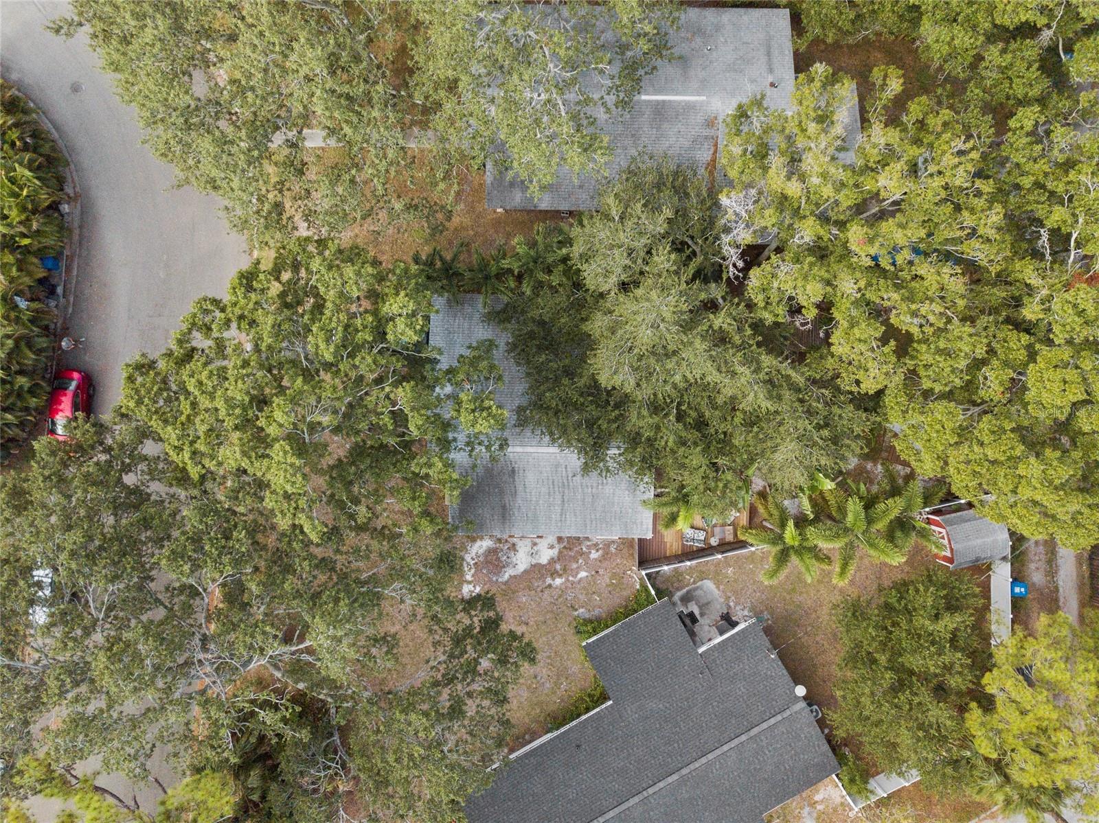 NORTH ST PETERSBURG - Residential