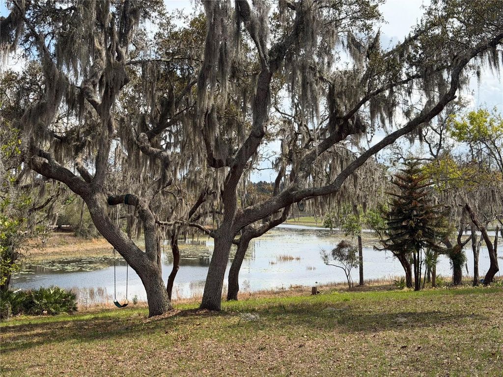 Photo of 17549 Seidner Road, Winter Garden, FL 34787 (MLS # O6392430)