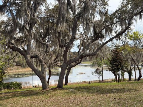 Property photo of 17549 Seidner Road, Winter Garden, FL 34787