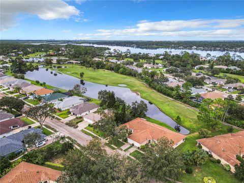 A home in NEW SMYRNA BEACH