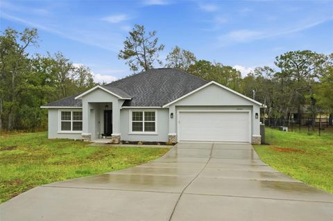 Photo of 12223 Peregrine Falcon Avenue, Weeki Wachee, FL 34614 (MLS # TB8495608)