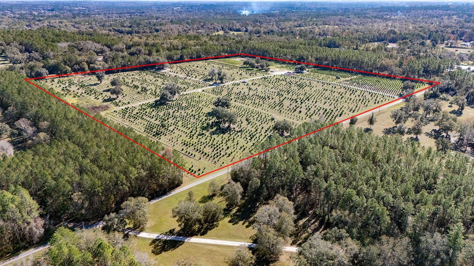 Welcome to 16385 NW 112th Court, an extraordinary opportunity to own and operate a thriving tree farm and nursery in the heart of Reddick, Florida. This 40-acre property is made up of four 10-acre parcels, all fully irrigated, providing a perfect foundation for continued success. The sale includes the entire business, which features a fully operational tree farm and nursery, along with $1.5 million in inventory, equipment, and infrastructure needed to continue running the operation. On-site, you’ll also find a charming 2-bedroom, 2-bathroom home, ideal for living on the property or using as a manager’s residence. The fertile soil, combined with a state-of-the-art irrigation system, ensures that the nursery and tree farm thrive, making it an attractive choice for both established professionals and newcomers to the agricultural business. The location is prime, just 20 miles from the World Equestrian Center in Ocala, a vibrant center for equestrian activities, events, and tourism. The tranquil, rural area of Marion County, known for its agricultural roots, offers the perfect balance of peaceful living and proximity to key markets. Casey’s Nursery represents a unique opportunity to step into a well-established business in one of Florida’s most desirable agricultural regions. Whether you're looking to expand your farming operations or begin a new venture, this property offers immense potential. Schedule your private tour today and discover what makes this property a one-of-a-kind investment!