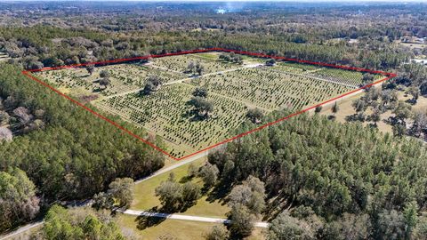 16385 NW 112TH COURT REDDICK FL 32686
