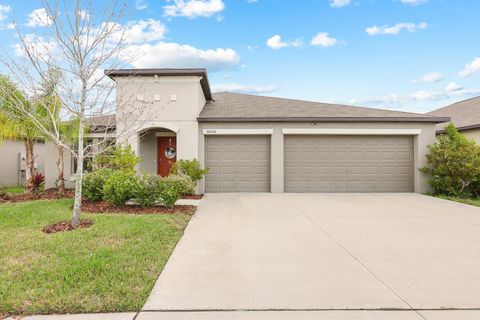 Photo of 16640 Carlton Pond Street, Wimauma, FL 33598 (MLS # TB8480077)