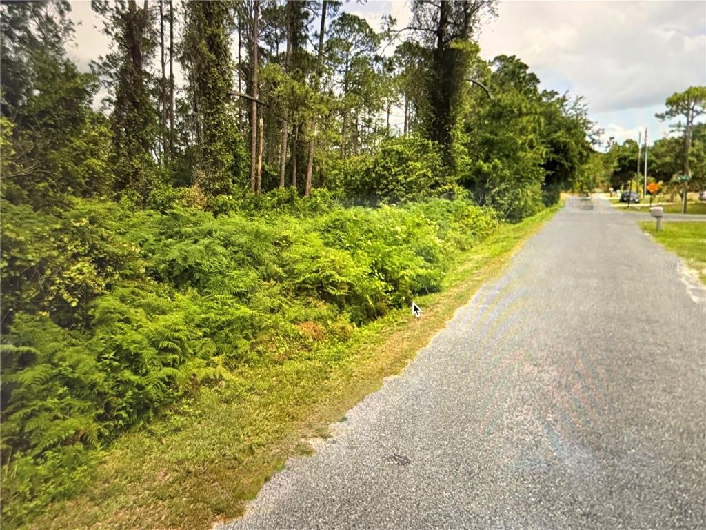 Photo of Fig Leaf Street, Saint Cloud, FL 34769 (MLS # S5134093)