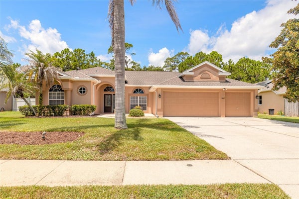 3817 BIRCH MOUNTAIN RD, PORT ORANGE, FL 32129 - Image 9d68f263c70a6baecbb2cc2a90ca3794/2433928976