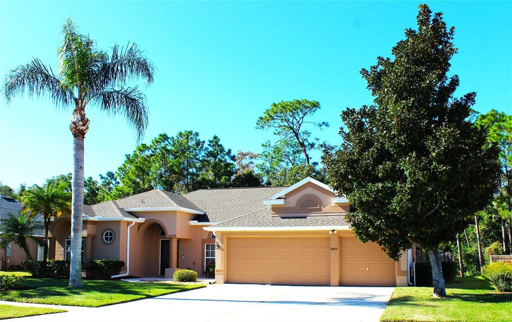 Photo of 3817 Birch Mountain Road, Port Orange, FL 32129 (MLS # NS1086702)