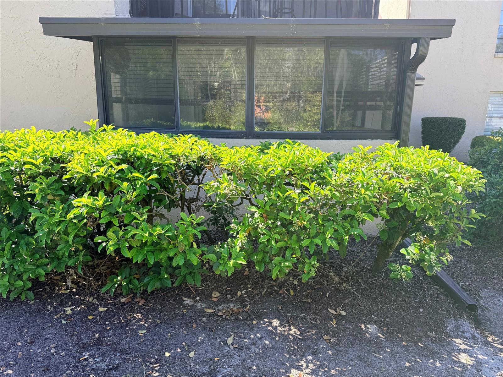 DELAND OAKS CONDO - Residential