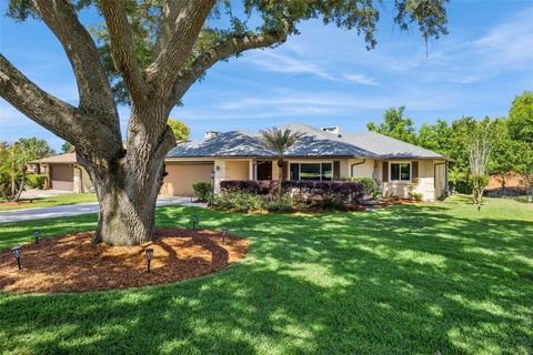 Photo of 1224 Palmetto Road, Eustis, FL 32726 (MLS # G5108974)