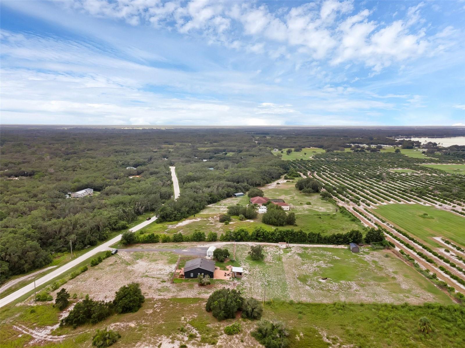 BLUE JORDAN FOREST - Residential