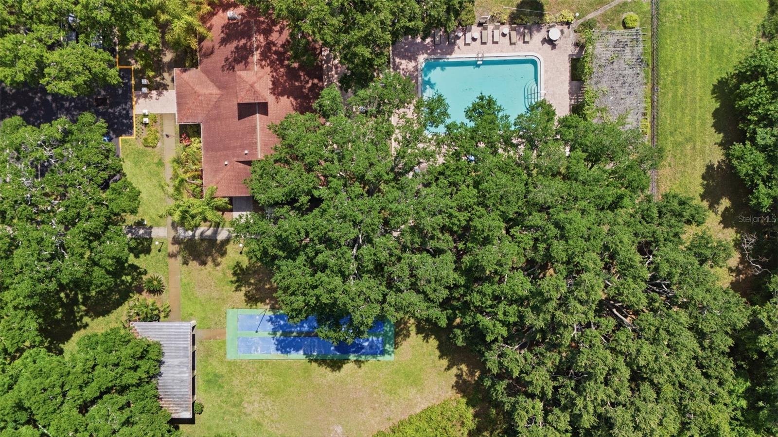 MEADOWLAKE PALM HARBOR CONDO - Residential