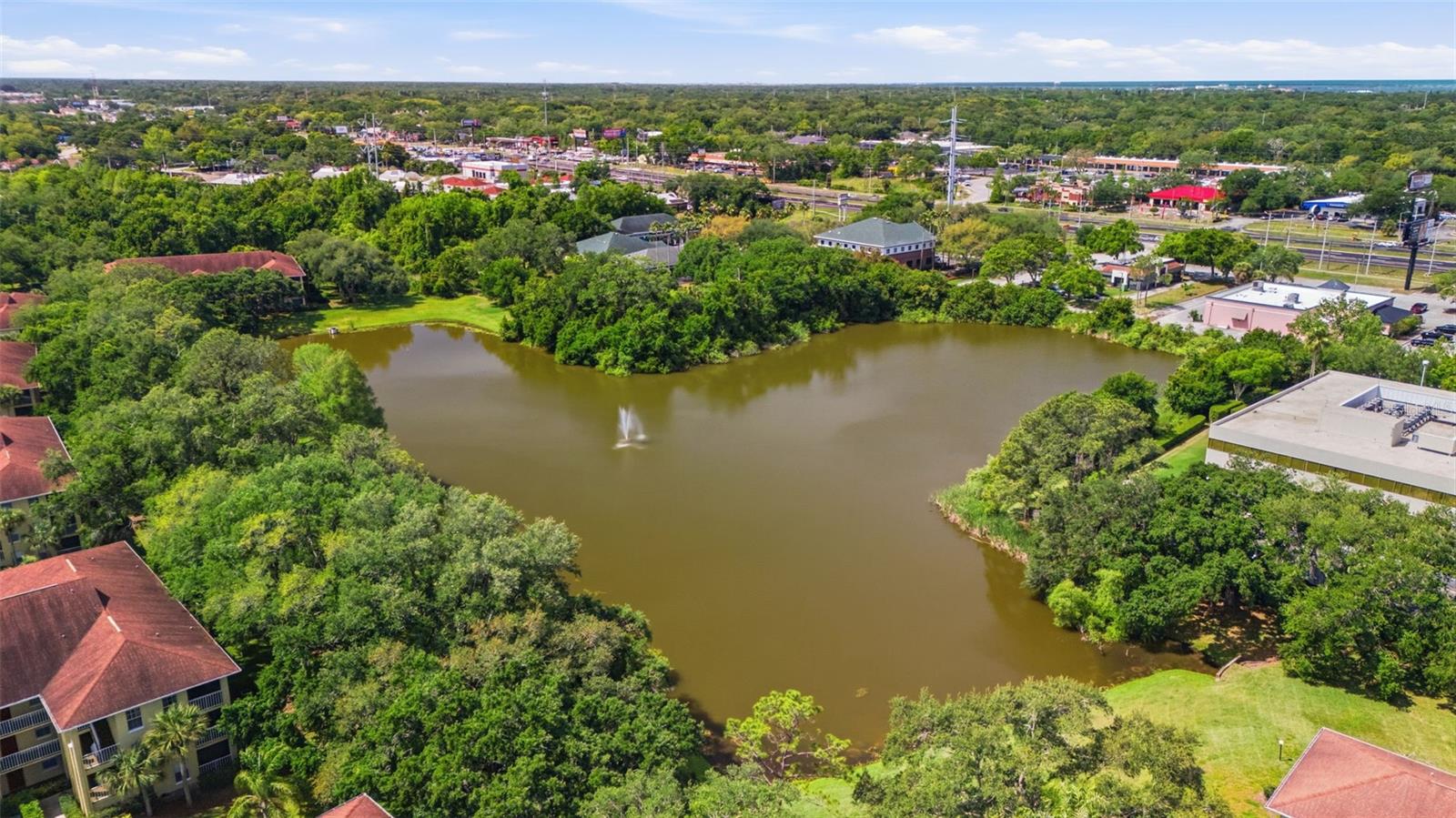 MEADOWLAKE PALM HARBOR CONDO - Residential