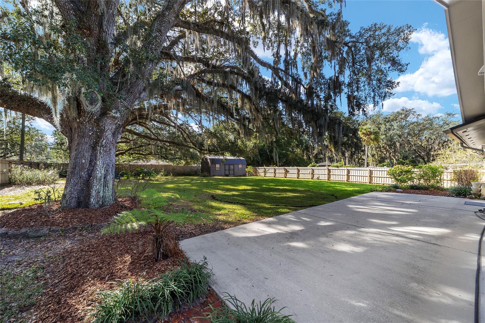 WOODFIELDS UN 05 - Residential Lease