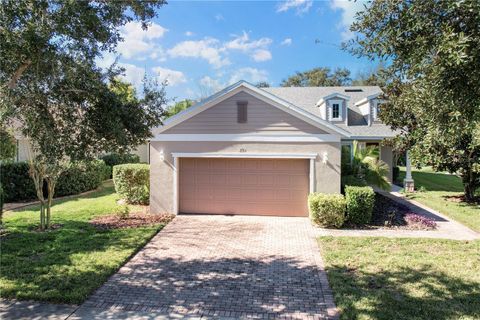 Photo of 374 Salt Marsh Lane, Groveland, FL 34736 (MLS # O6389203)