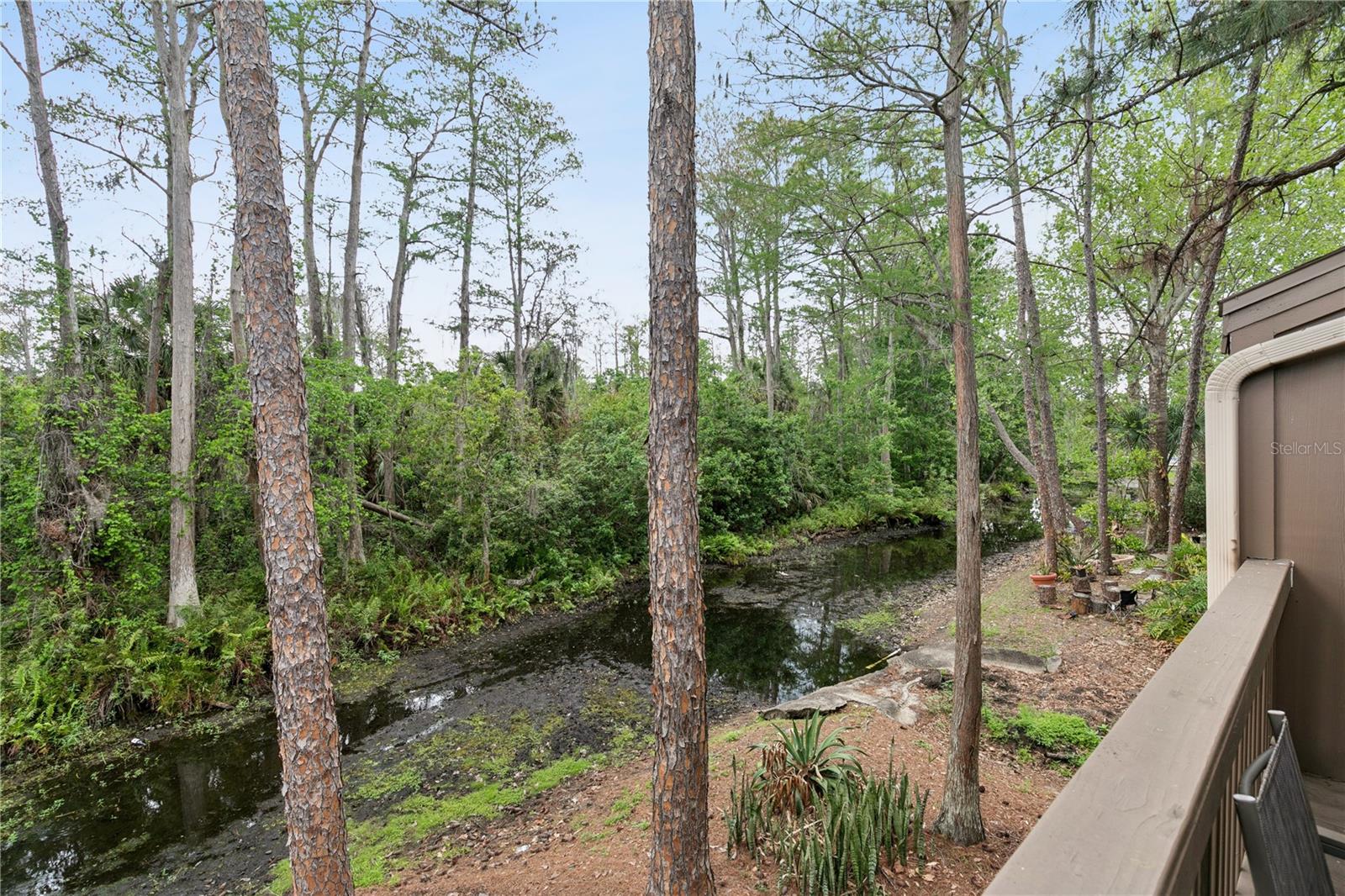 CYPRESS WOODS CONDO - Residential