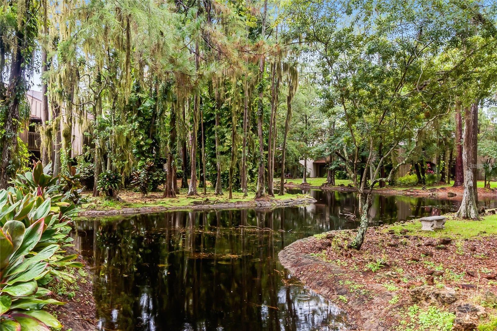 CYPRESS WOODS CONDO - Residential