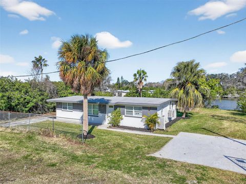 Photo of 4505 Cottonwood Drive, New Port Richey, FL 34652 (MLS # O6379961)