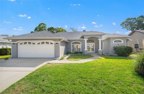 Photo of 13602 Glaze Brook Drive, Hudson, FL 34667 (MLS # TB8506094)