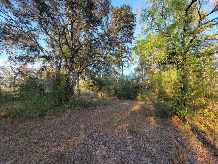 Beautiful 10 acre parcel containing mixture of hardwood trees; several great locations to build your new conventional home or mobile home and barn.  Levy County advises 2 homes can be built on the property, making it a great location for a main residence and guest home if desired. Property minutes from The Williston Mile Training Center in Levy County.  Property surrounded by small and large farms offering wide open spaces with beautiful views.   Central to Bronson, Williston, Gainesville -- Cedar Key and Crystal River nearby providing Gulf access for those who love to fish.  Minutes from HITS and The World Equestrian Center in Marion County.  Buy now and build in the future.  Property offers private setting yet minutes from town, schools and Shand's Hospital in Gainesville.  Come join us in the Sunshine State and enjoy the weather year round.