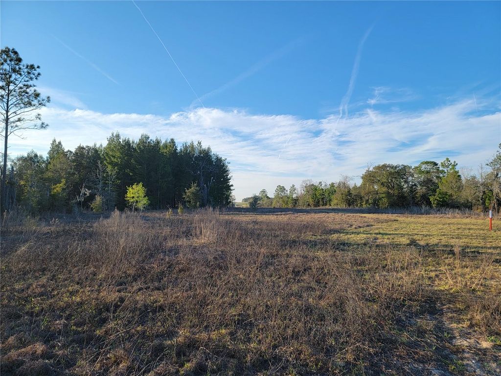 Photo of 0 NE 20th Street, Williston, FL 32696 (MLS # OM719852)