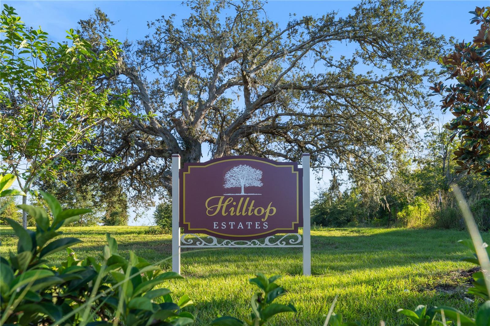 HILLTOP ESTATES - Land